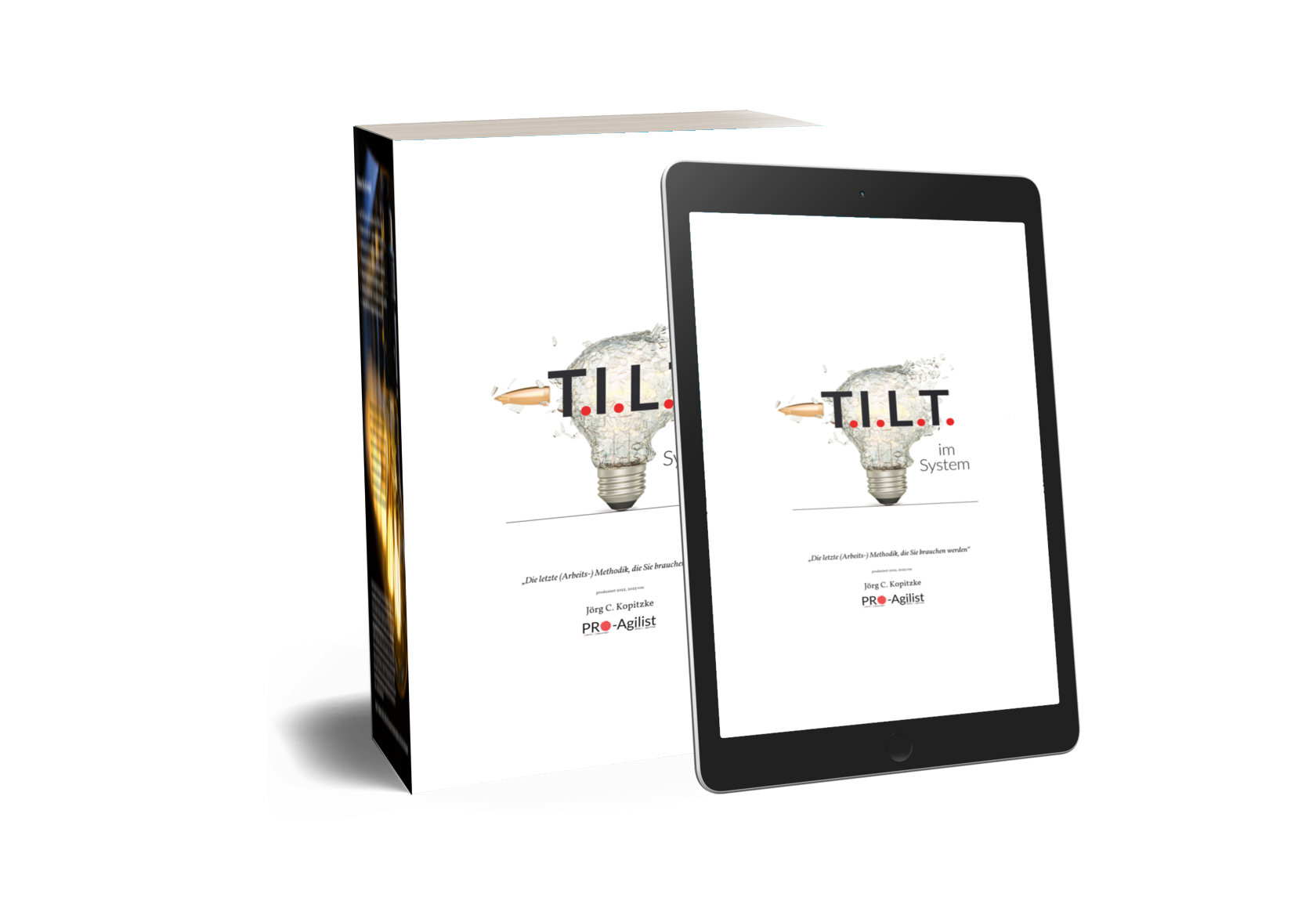 T.I.L.T. - im System, Das Buch, (Teil I), Die letzte (Arbeits-)Methodik, die Sie brauchen werden.